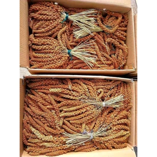 อ่านก่อนซื้อ..มิลเล็ตสเปรย์ (แบ่งขาย 200-500G.) อาหารนกแก้ว หนูแฮมสเตอร์ และสัตว์ฟันแทะ