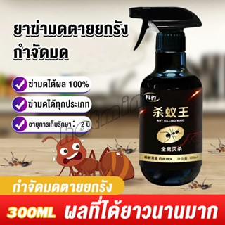 HotMind สเปย์กำจัดมด ยากำจัดมดภายในบ้าน กำจัดแมลง  Pest Control