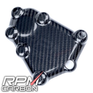 BMW S1000RR 2009-2014 Carbon Fiber Engine Cover