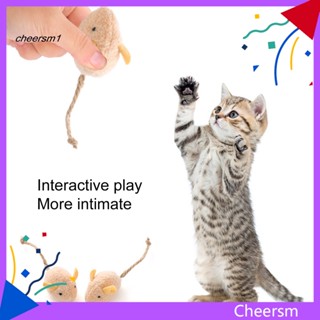 [CS]  5Pcs Exquisite Cat Chew Toy Pet Product Pet Cat Kitten Plush Mouse Toy Scratch-resistant