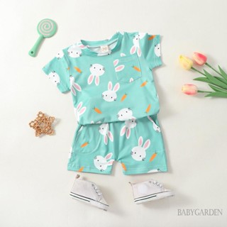 Babygarden-0-24months ชุดเสื้อยืด แขนสั้น พิมพ์ลายกระต่าย แครอท และกางเกงขาสั้น สําหรับเด็กทารก