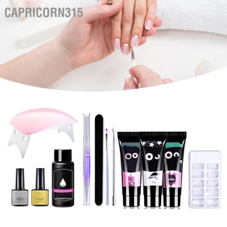Capricorn315 ชุดต่อเล็บ Solid Gel Kit Professional แบบพกพายาวนานมัลติฟังก์ชั่น Poly Nails