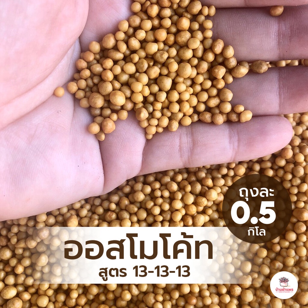 [ 0.5 กก. ] ออสโมโค้ท สูตร 13 -13-13 ไม้อวบน้ำ กุหลาบหิน cactus&succulent