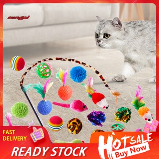 SUN_ 21Pcs Cat Toys with Tunnel Relieve Stress Interactive Toy Cat Feather Teaser Plush Mouse Crinkle Balls Pet Toys