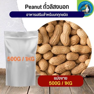 สุดยอด ถั่วลิสงนอก PeaNut อาหารนก กระต่าย หนู กระต่าย กระรอก ชูก้า และสัตว์ฟันแทะ (แบ่งขาย 500G / 1KG)