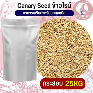 ข้าวไรน์ Canary seed อาหารนก กระต่าย หนู กระต่าย กระรอก ชูก้า สินค้าใหม่ทุกกระสอบ (25KG)