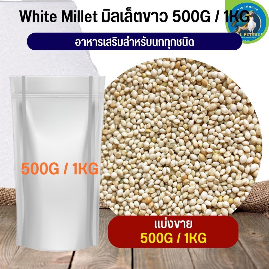 มิลเล็ตเอ A มิลเล็ตขาว อาหารนก อาหารสัตว์ ธัญพืชสำหรับนก (แบ่งขาย 500G / 1KG)
