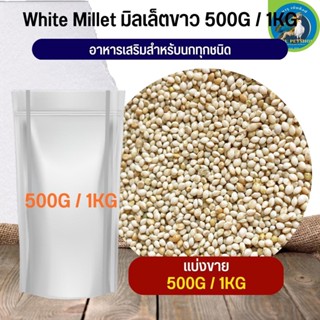 มิลเล็ตเอ A มิลเล็ตขาว  อาหารนก อาหารสัตว์ ธัญพืชสำหรับนก  (แบ่งขาย 500G / 1KG)