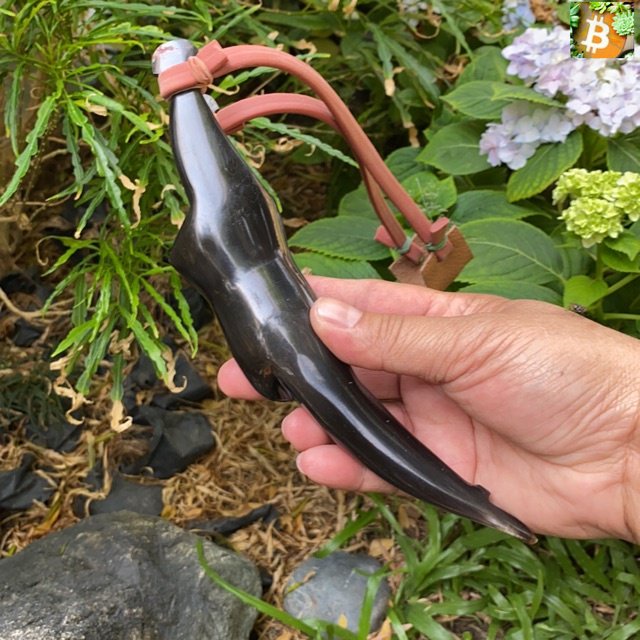 Bitcoin หนังสติ๊กทำจากเขาควาย ทรงสาวน้อย