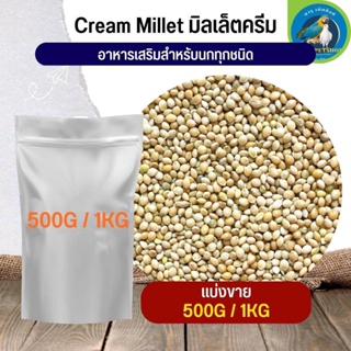 สุดยอด Creamy Millet มิลเล็ต ครีมมี่ อาหารนก กระต่าย หนู กระต่าย กระรอก ชูก้า และสัตว์ฟันแทะ (แบ่งขาย 500G / 1KG)