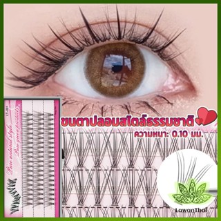 Lawan ขนตาปลอมแบบธรรมชาติ /8/10/11/12/14 มม. ต่อขนตาแต่ละช่อ False Eyelashes