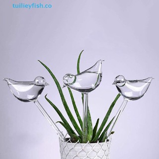 tuilieyfish Plant Waterer Self Watering Globes, Bird Shape Hand Blown Clear Aqua Bulbs co