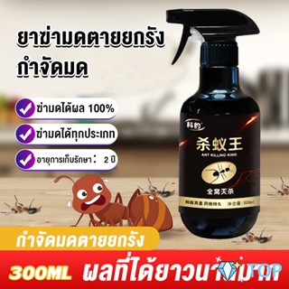 สเปย์กำจัดมด ยากำจัดมดภายในบ้าน กำจัดแมลง กําจัดมด Pest Control