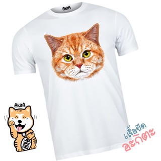 เสื้อยืดลายแมวส้ม Orange cat T-shirt_07S-5XL