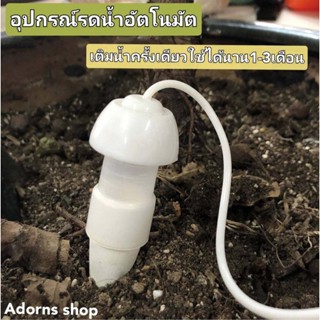 ที่รดน้ำอัตโนมัติ สำหรับคนขี้เกียจ คนมีธุรกิจอุปกรณ์รดน้ำอัต…