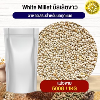 White millet มิลเล็ตขาว อาหารนก กระต่าย หนู  ชูก้า และสัตว์ฟันแทะ สะอาดได้คุณภาพ (แบ่งขาย 500G / 1KG)