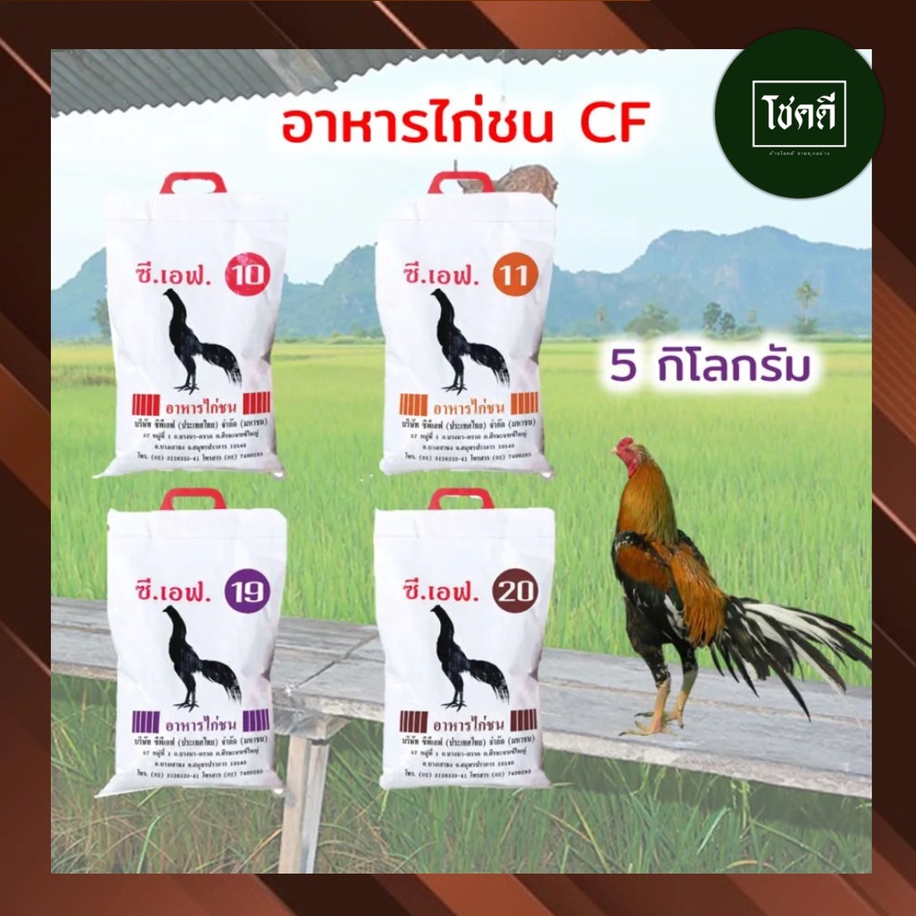 💥ส่งไว💥อาหารไก่ชน CF Fighting Cock 5 kg. ซีเอฟ สำหรับไก่ชนแรกเกิด ขึ้นไป  เบอร์ 10 / 11 / 19 / 20 ขน