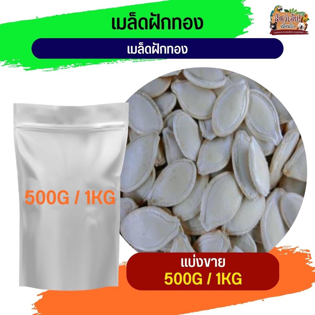 เมล็ดฟักทอง Pumpkin Seeds เกรดA อาหารนกแก้ว หนูแฮมสเตอร์ และสัตว์ฟันแทะ (แบ่งขาย 500G / 1KG)