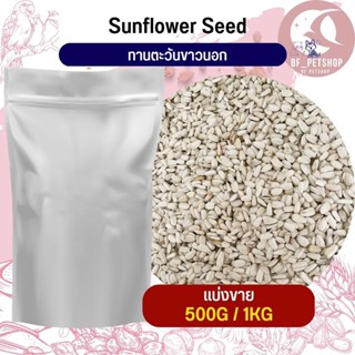 ทานตะวันขาวนอก White Sunflower อาหารนก กระต่าย หนูกระรอก ชูก้า และสัตว์ฟันแทะ สินค้าสดใหม่ทุกชิ้น (แบ่งขาย 500G / 1KG)