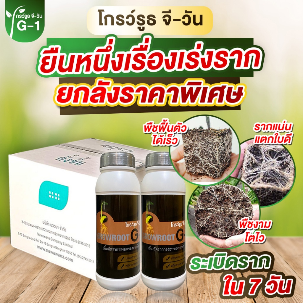ยาเร่งราก ยกลัง 12 ขวด แบบผง โกรว์รูธ จี-วัน เร่งราก เร่งใบ น้ำยาเร่งรากกระตุ้นการแตกใบอ่อน ใบดก