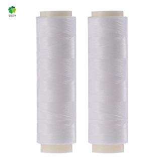 2 Pcs Bait Elastic Thread Invisible Fishing Strong Strength Fishing Line for Fishing Pesca 200M 0.15Mm 2 &amp; 0.2Mm 3