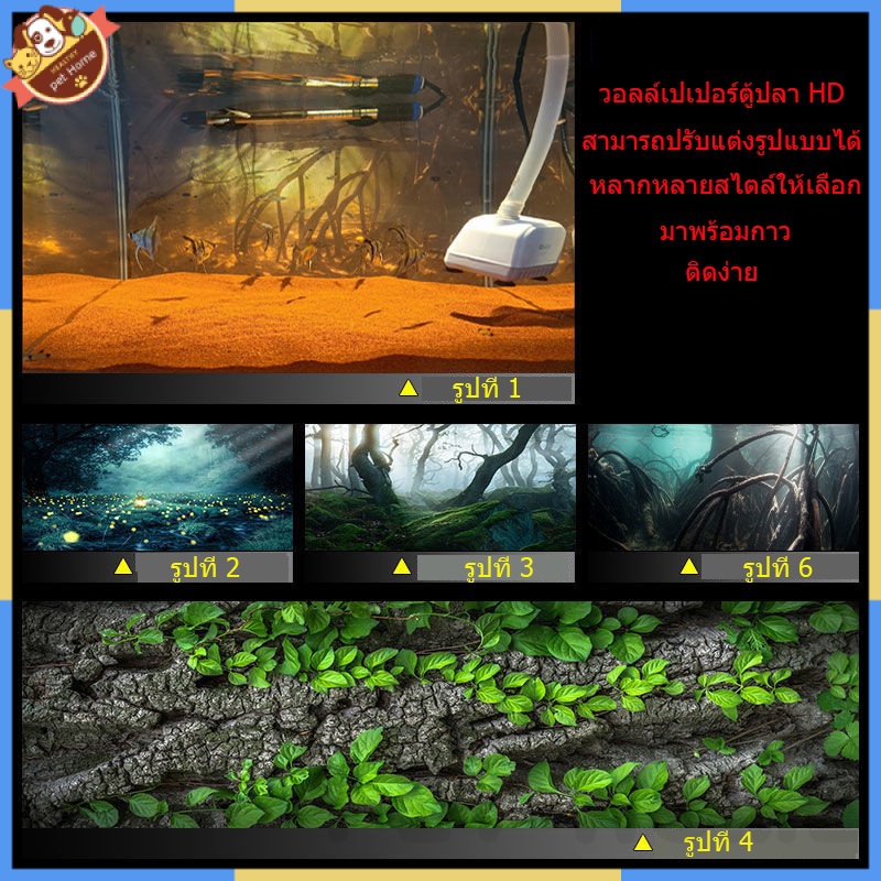 สติกเกอร์วอลล์เปเปอร์ HD 3D ลายต้นไม้อเมริกันใต้ สําหรับติดตกแต่งตู้ปลา

<p>“><center></p>
<h4></h4>
<p><p><font color=