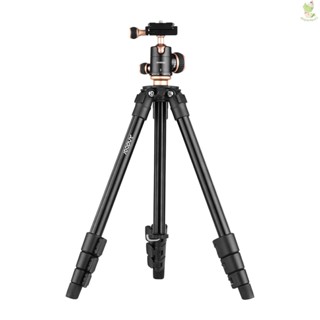 Andoer Q160SA Camera Tripod Complete Tripods with Panoramic Ballhead Bubble Level Adjustable Height Portable Travel Tripod for DSLR Digital Cameras Camcorder Mini Projector Compatible with