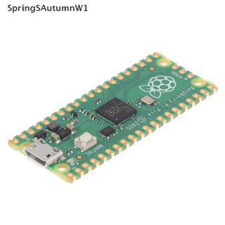 [SpringSAutumnW1] บอร์ดไมโครคอมพิวเตอร์ พลังงานต่ํา Raspberry Pi Pico RP2040