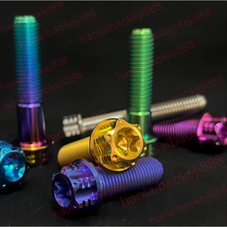 Tc4/gr5 M10x10 มม.-90 มม.1.25P ไทเทเนียมหัวหน้าแปลน Torx สกรูสลักเกลียว M10 รถจักรยานยนต์ titanium สกรู