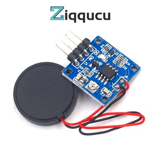 ZIQQUCU Vibration Switch Sensor Module Piezoelectric 5.0V DC AD/DO