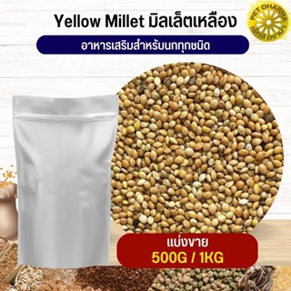 Yellow Millet มิลเล็ตเหลือง อาหารนก กระต่าย หนู กระต่าย ชูก้า และสัตว์ฟันแทะ สะอาดได้คุณภาพ (แบ่งขาย 500G / 1KG)