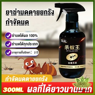 Lawan สเปย์กำจัดมด ยากำจัดมดภายในบ้าน กำจัดแมลง  Pest Control