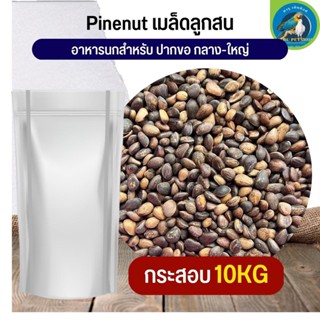 Pine Nut Pea ไพน์นัท สำหรับนก กระต่าย หนูและสัตว์ฟันแทะ (กระสอบ 10KG)