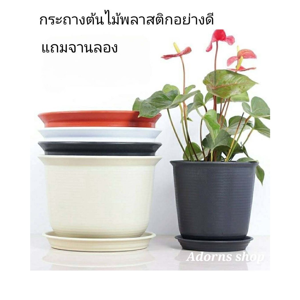 #กระถางต้นไม้ #กระถางพลาสติก #กระถางโมเดิร์น #ของแต่งบ้าน #สินค้าพร้อมส่ง