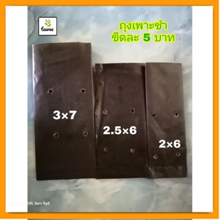 ถุงเพาะชำ ขีดละ 5บาท เนื้อดี เหนียว หนา ถุงชำ ถุงดำเจาะรู ถุงปลูกต้นไม้ คุณภาพดี ราคาถูก