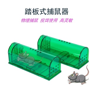 Factory Wholesale Amazon Plastic Mousetrap Mouse Trap Overseas E-Commerce Sticky Mouse Glue Hot Cross-Border Rat Trap Cage AXE3