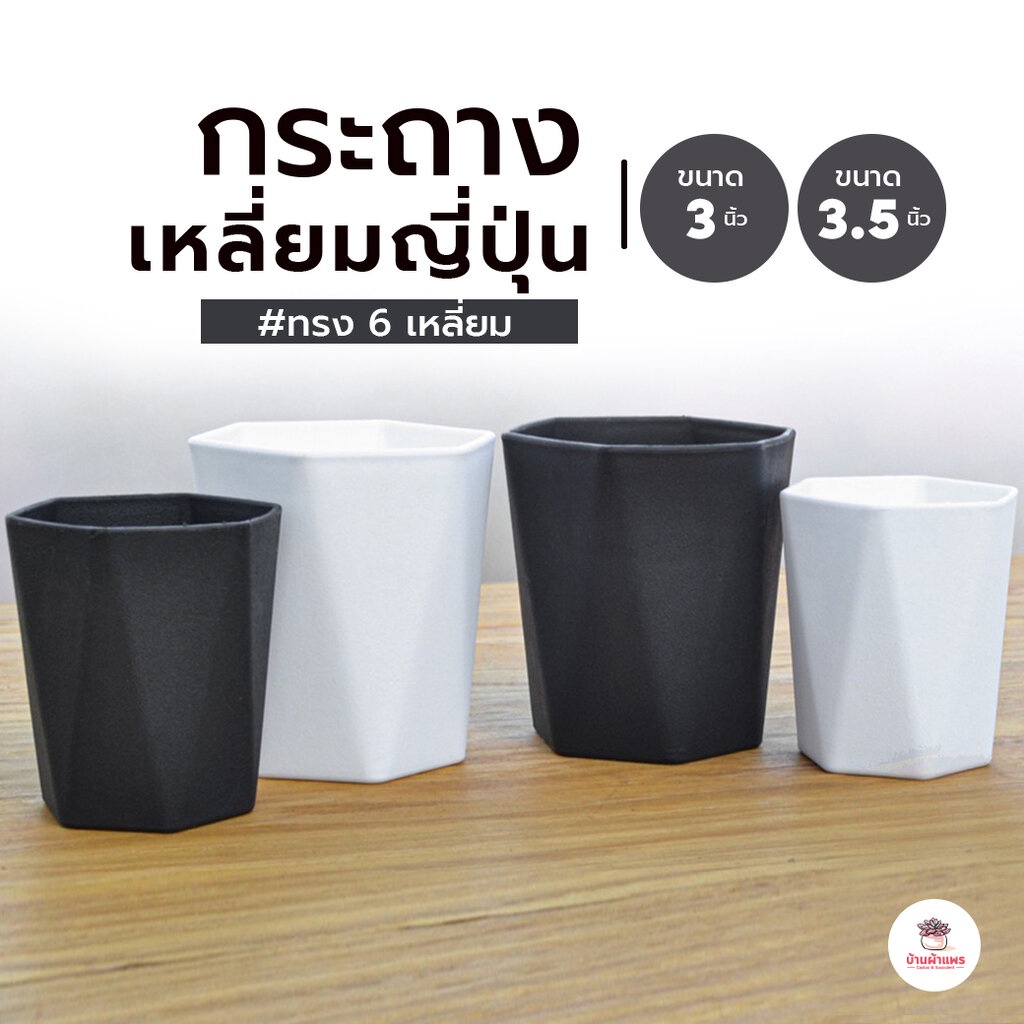 กระถาง 6 เหลี่ยมญี่ปุ่น กระถางพลาสติก แคคตัส กระบองเพชร ไม้อวบน้ำ Cactus&Succulent