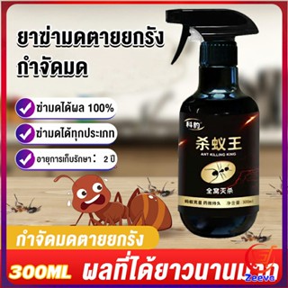 Zeeva สเปย์กำจัดมด ยากำจัดมดภายในบ้าน กำจัดแมลง  Pest Control