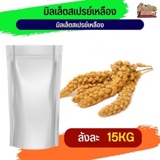 Yellow Millet Sprayมิลเล็ต สเปรย์เหลือง อาหารนกและสัตว์ฟันแทะ (ลัง 15KG)