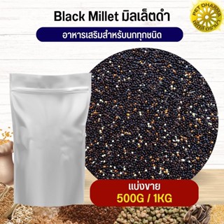 Black Millet มิลเล็ตดำ อาหารนก กระต่าย หนู กระต่าย ชูก้า และสัตว์ฟันแทะ สะอาดได้คุณภาพ (แบ่งขาย 500G / 1KG)