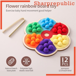 [Sharprepublic] Counting Matching Game Educational Sensorial Educational Tools for Exercise