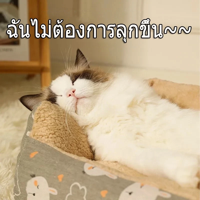 ที่นอนสัตว์เลี้ยง เบาะนอนสุนัข แมว ไซส์ S/M/L/XL/XXL thumbnail 3
