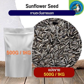 สุดยอด ทานตะวันลายนอก Strip SunFlower อาหารนก กระต่าย หนู กระต่าย กระรอก ชูก้า และสัตว์ฟันแทะ (แบ่งขาย 500G / 1KG)