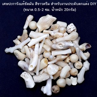 เศษปะการังแท้ขัดมัน สีขาวครีม สำหรับงานประดับตกแต่ง DIY (ขนาด 0.5-2 ซม.. น้ำหนัก 20กรัม)