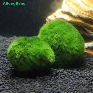 Abongbang ลูกบอลมาริโมะ กุ้งปลอม สีเขียว ขนาด 3-4 ซม. สําหรับตกแต่ง