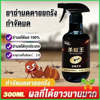 Zakii Mall สเปย์กำจัดมด ยากำจัดมดภายในบ้าน กำจัดแมลง  Pest Control