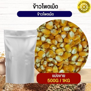 ข้าวโพดเม็ด corn kernels อาหารนก กระต่าย หนู ชูก้า และสัตว์ฟันแทะ สะอาดได้คุณภาพ (แบ่งขาย 500G / 1KG)