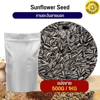 ทานตะวันลายนอก Strip SunFlower อาหารนก กระต่าย หนูกระรอก ชูก้า และสัตว์ฟันแทะ สะอาดได้คุณภาพ (แบ่งขาย 500G / 1KG)