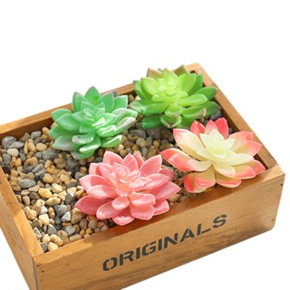 Succulents ดอกไม้ปลอม DIY สําหรับตกแต่งผนัง