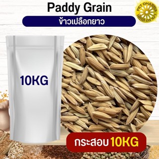 ข้าวเปลือกยาว Paddy rice อาหารนก กระต่าย หนู กระต่าย กระรอก ชูก้า และสัตว์ฟันแทะ มีกลิ่นหอมเฉพาะตัว (กระสอบ 10KG)